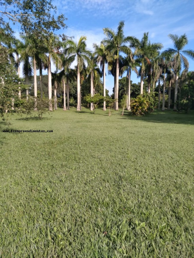 Chácara, 3 quartos, 2 hectares - Foto 38