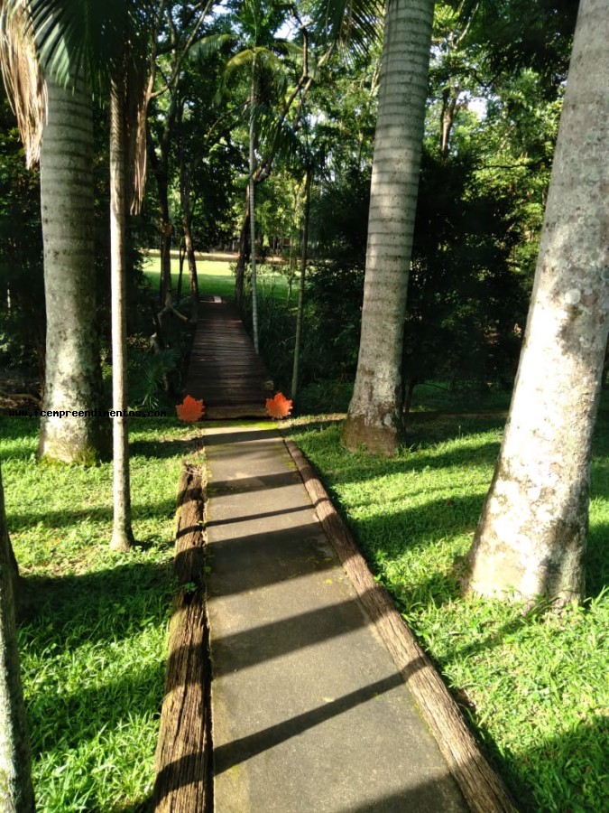Chácara, 3 quartos, 2 hectares - Foto 35