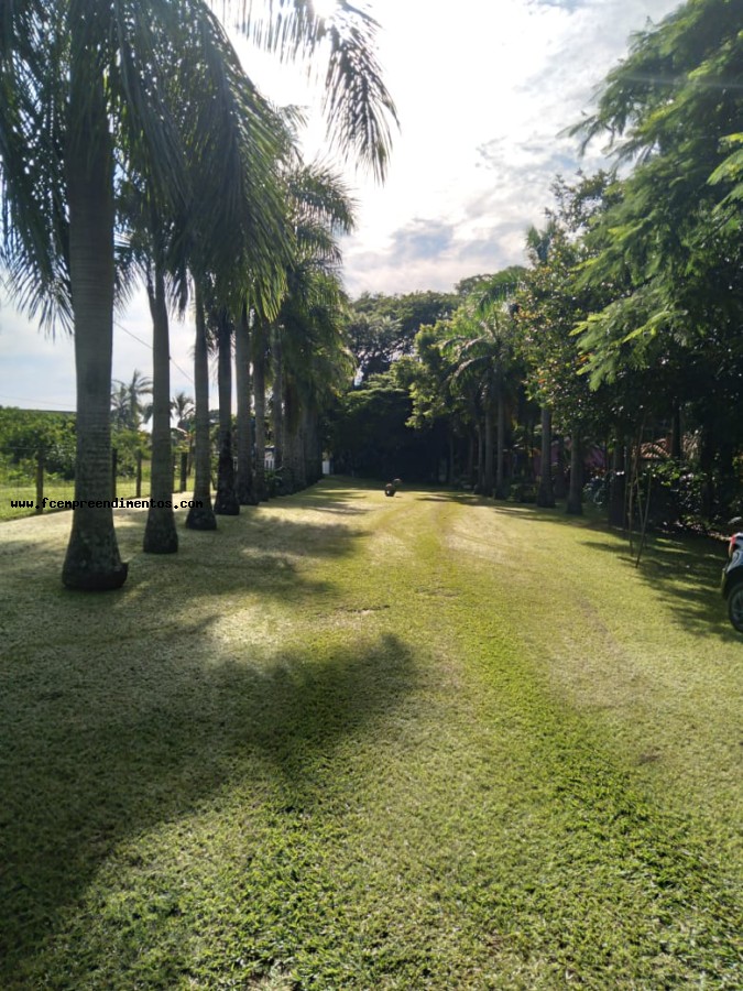 Chácara, 3 quartos, 2 hectares - Foto 40