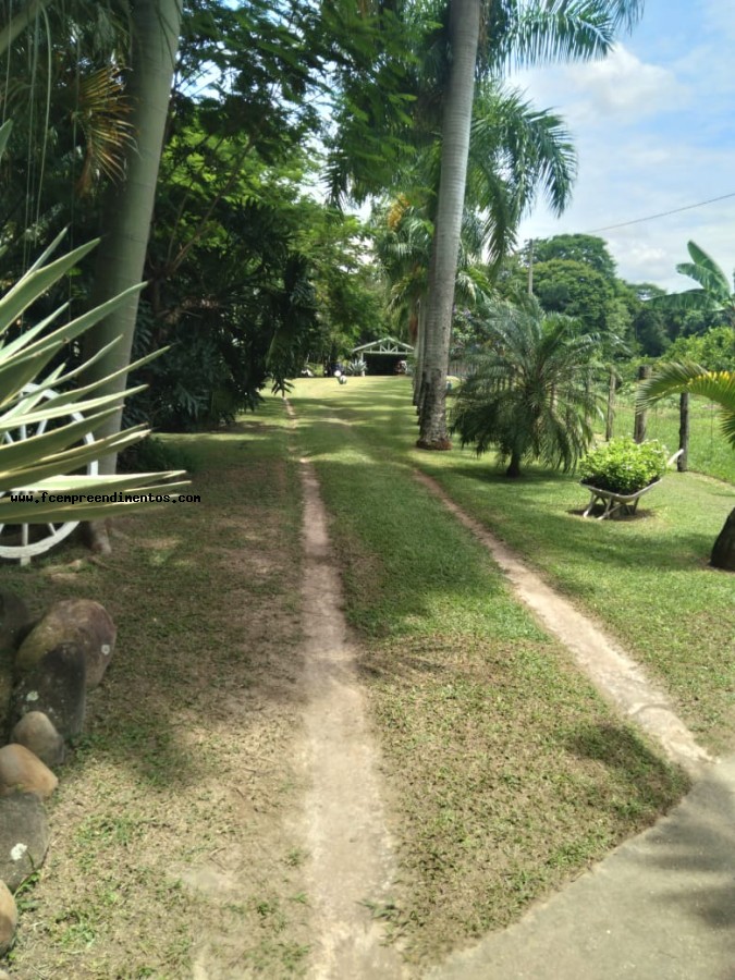 Chácara, 3 quartos, 2 hectares - Foto 41
