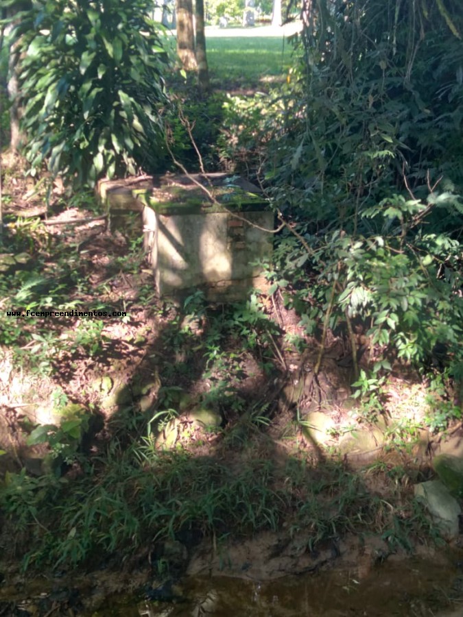 Chácara, 3 quartos, 2 hectares - Foto 43