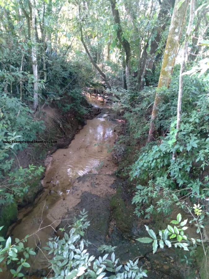 Chácara, 3 quartos, 2 hectares - Foto 42