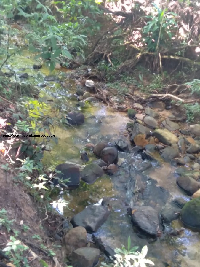 Chácara, 3 quartos, 2 hectares - Foto 44