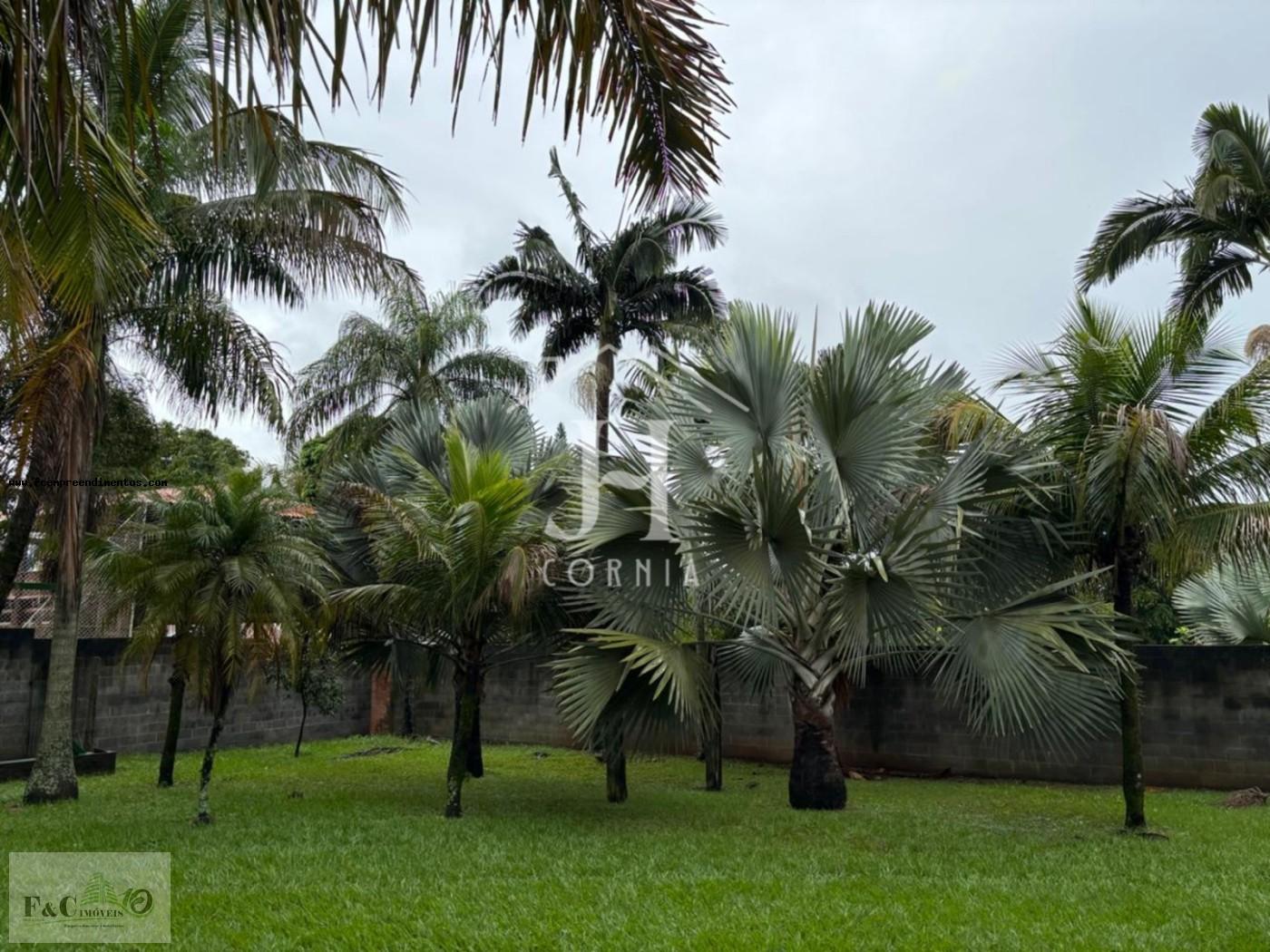 Fazenda, 2300 m² - Foto 13