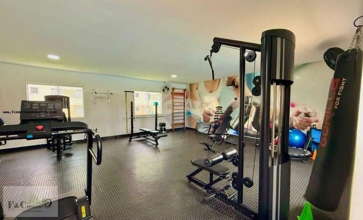 Apartamento, 2 quartos, 45 m² - Foto 53
