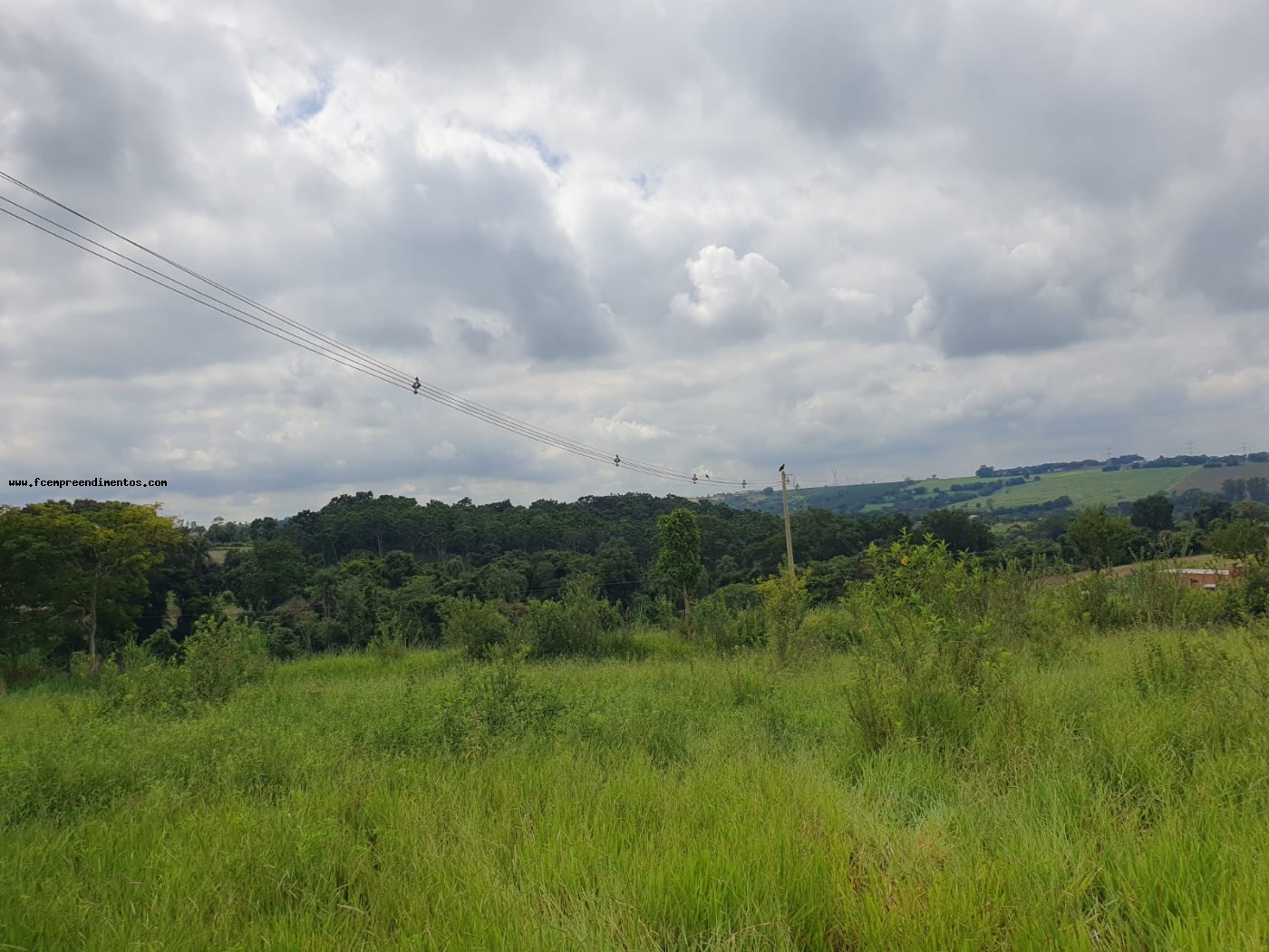 Terreno, 2 hectares - Foto 4