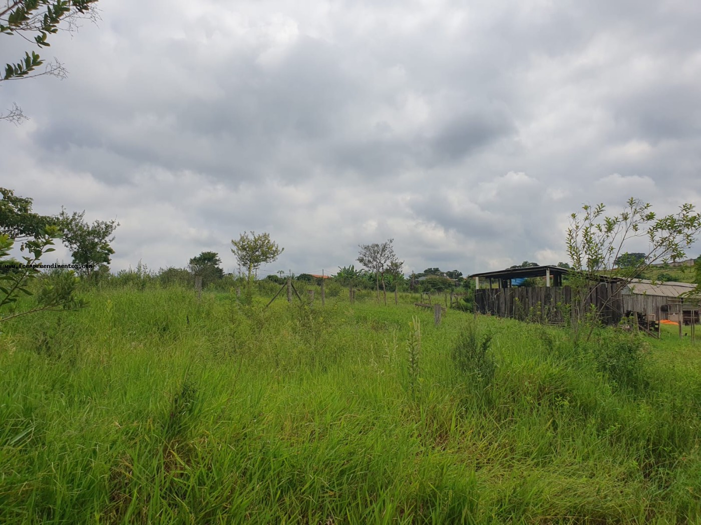 Terreno, 2 hectares - Foto 6