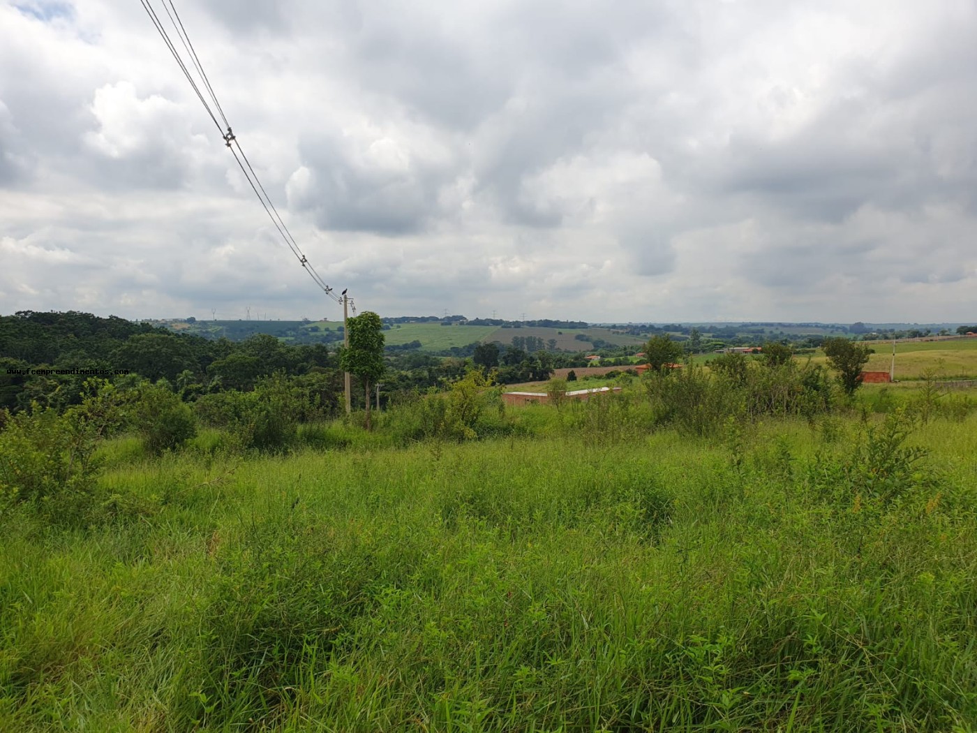 Terreno, 2 hectares - Foto 8