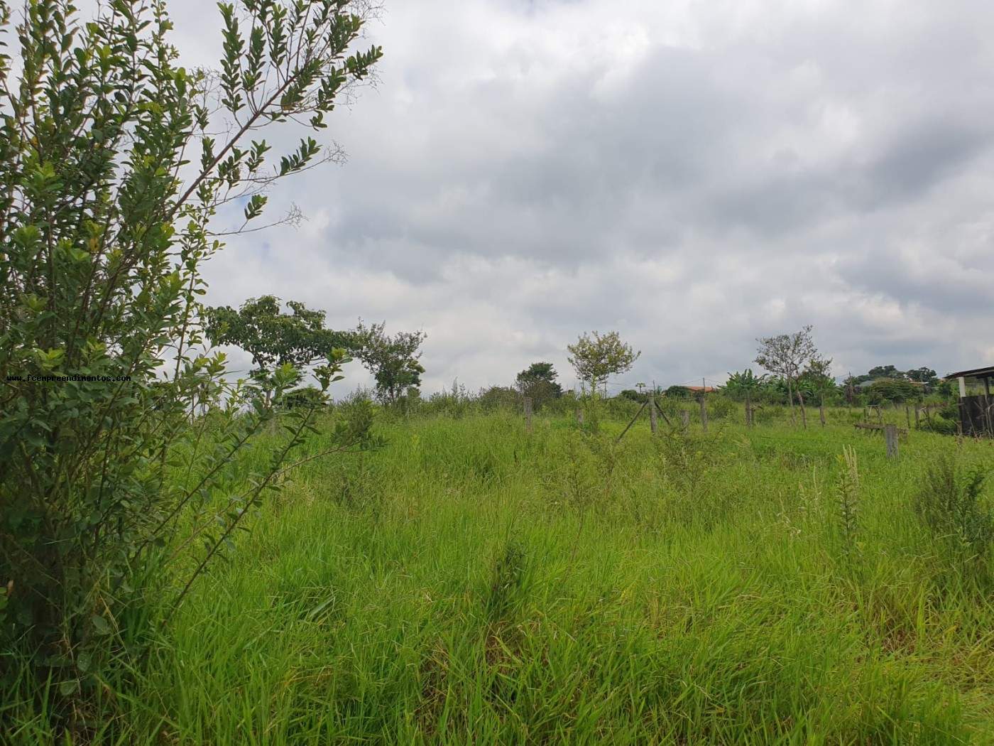 Terreno, 2 hectares - Foto 7
