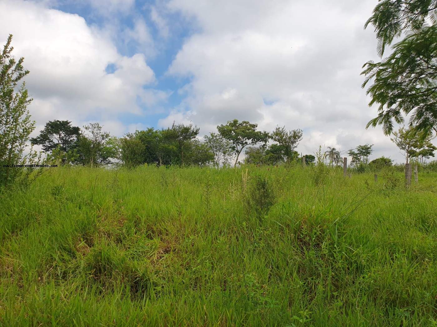 Terreno, 2 hectares - Foto 11