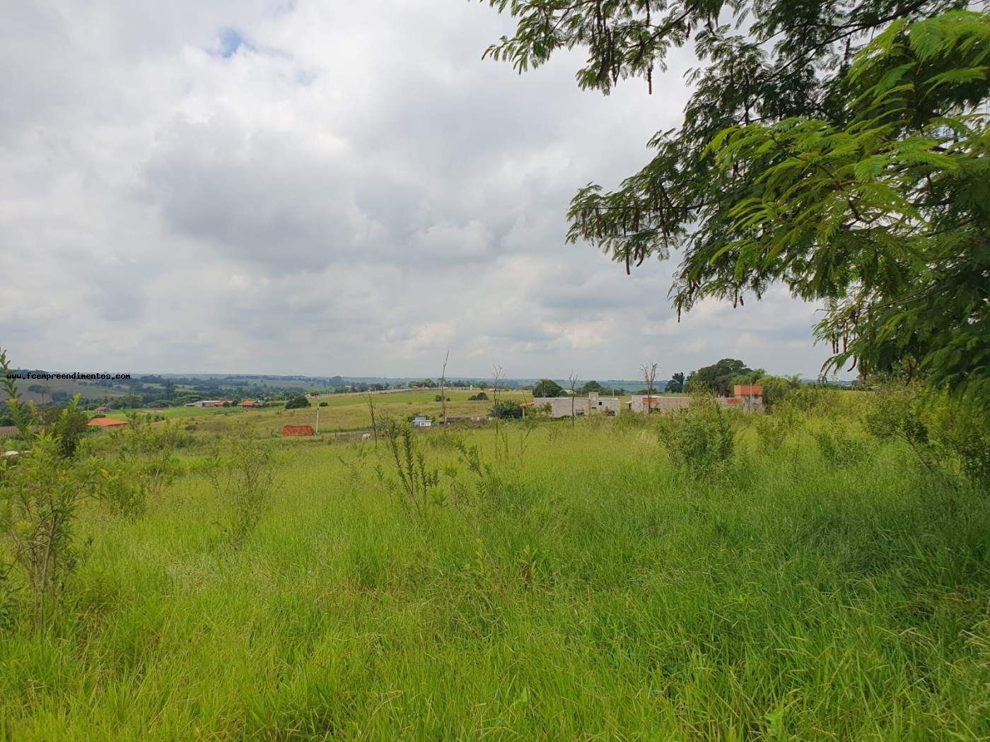 Terreno, 2 hectares - Foto 13