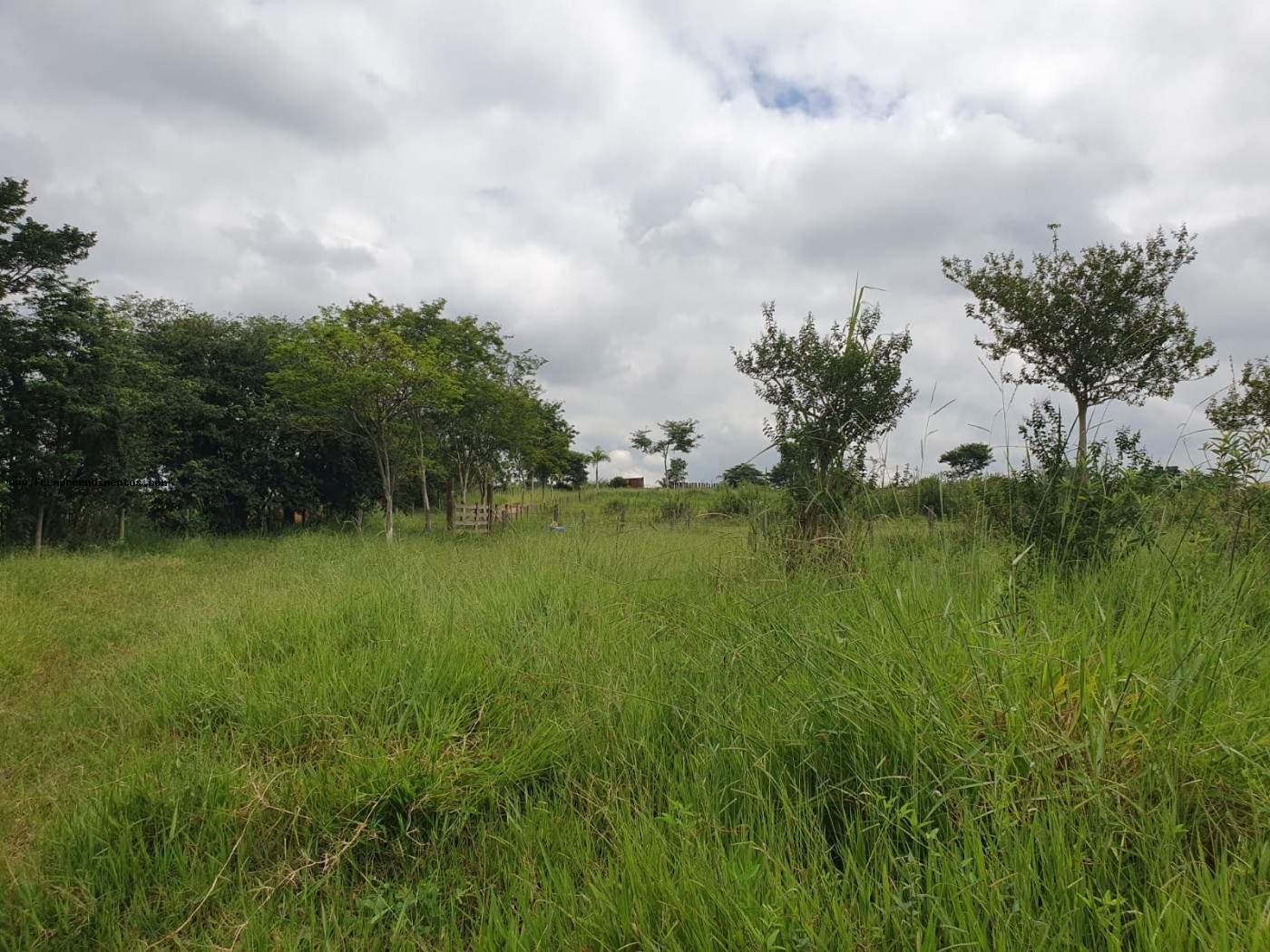 Terreno, 2 hectares - Foto 14