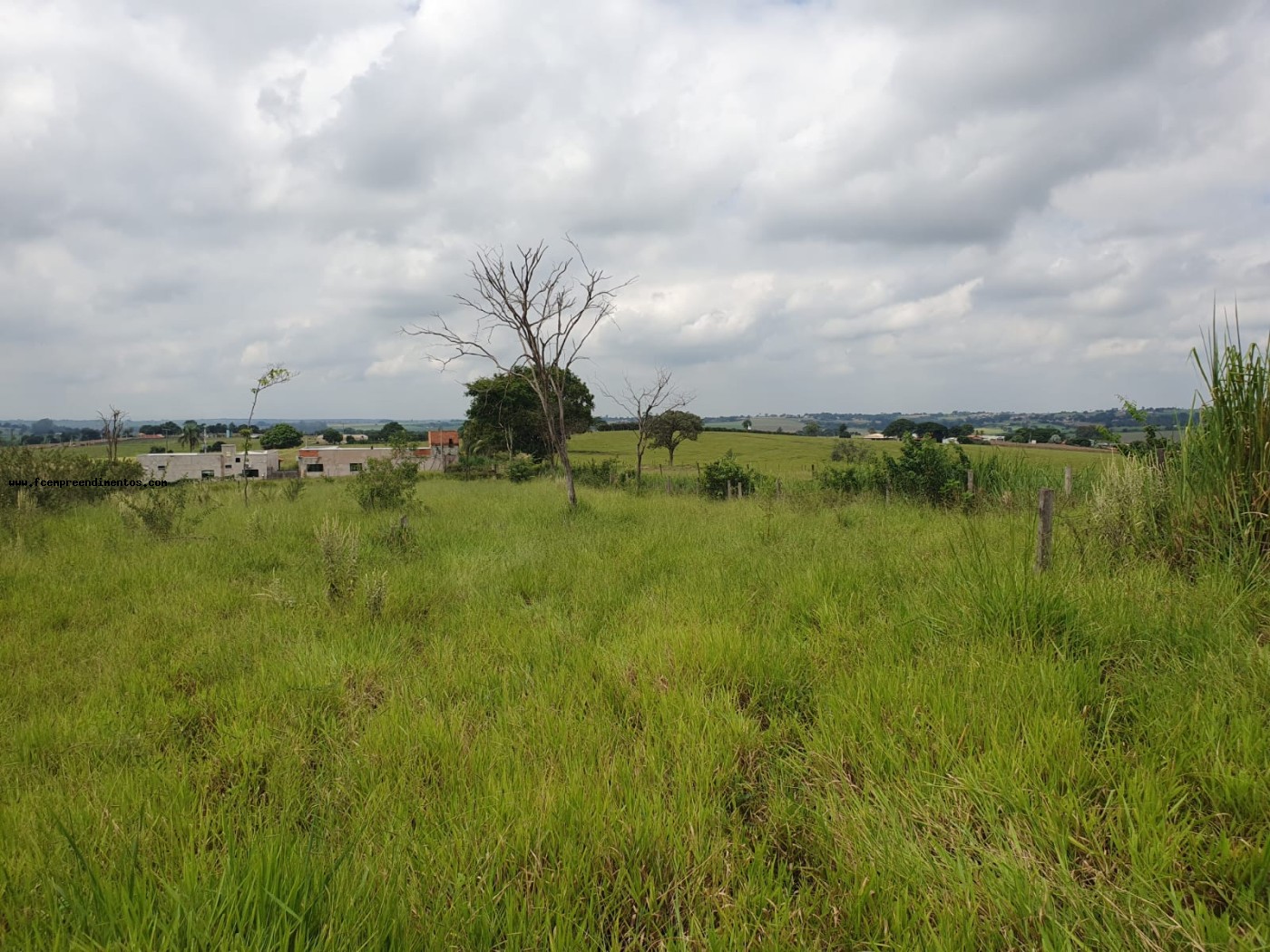 Terreno, 2 hectares - Foto 15