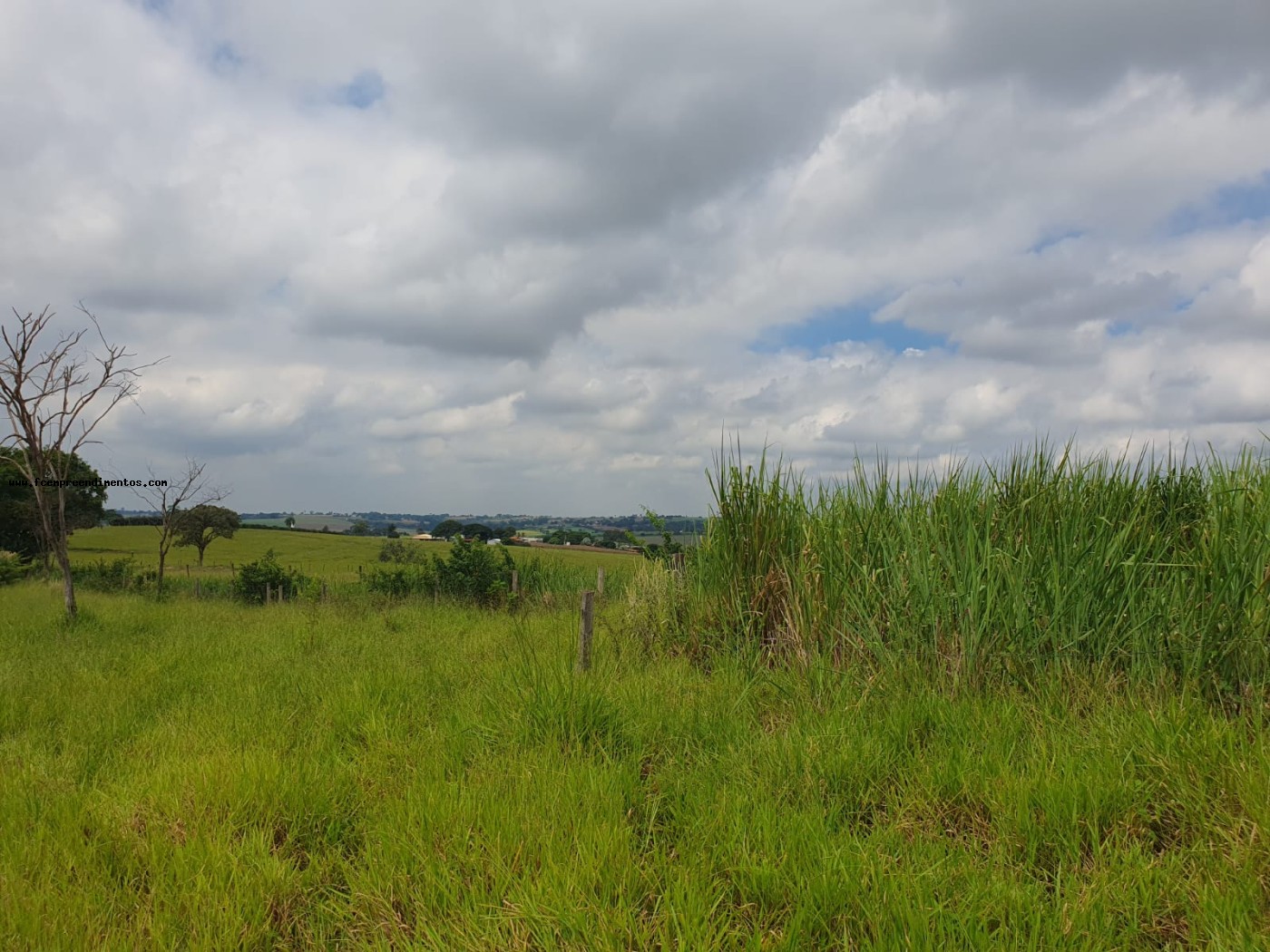 Terreno, 2 hectares - Foto 17