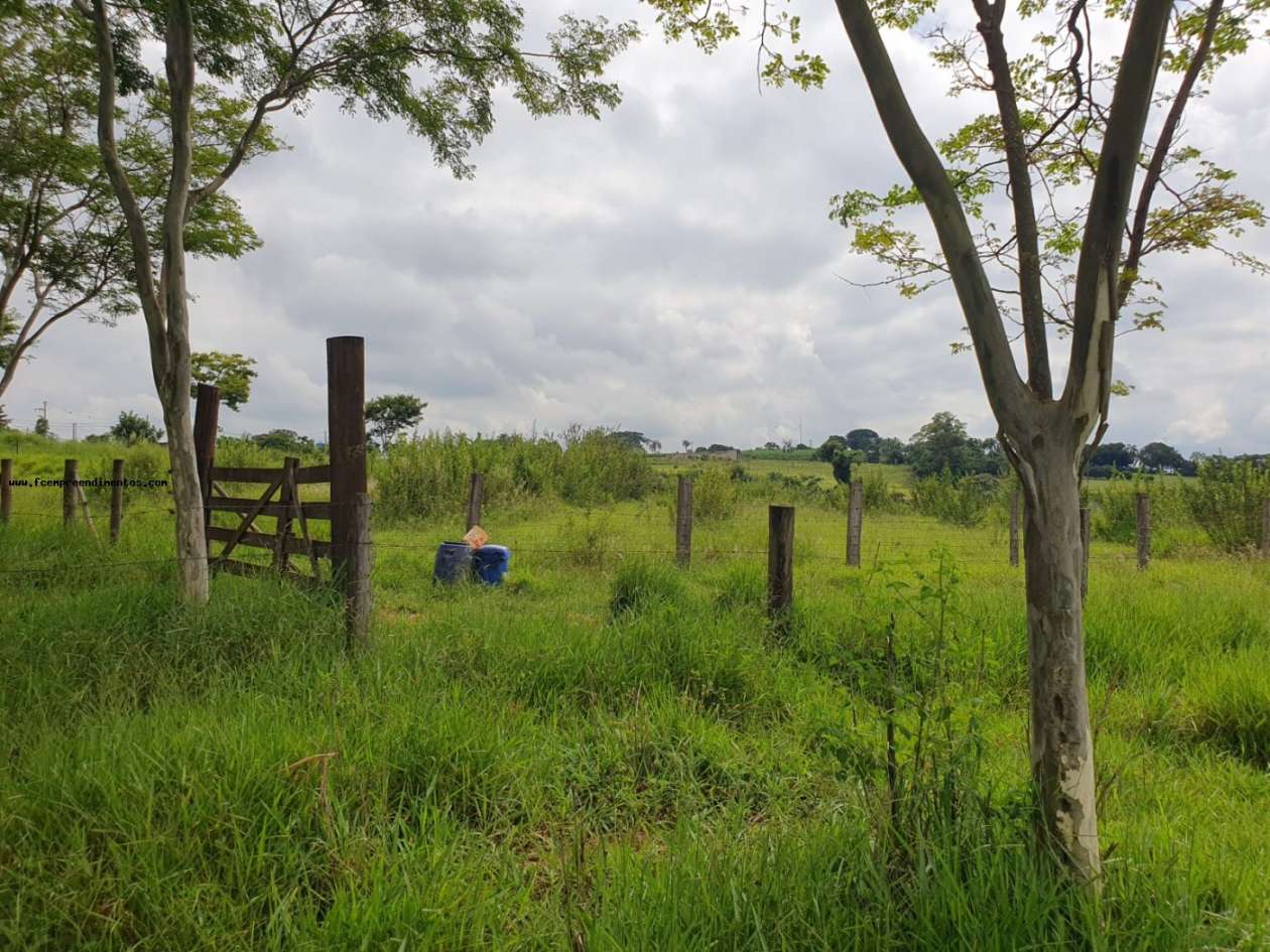 Terreno, 2 hectares - Foto 19