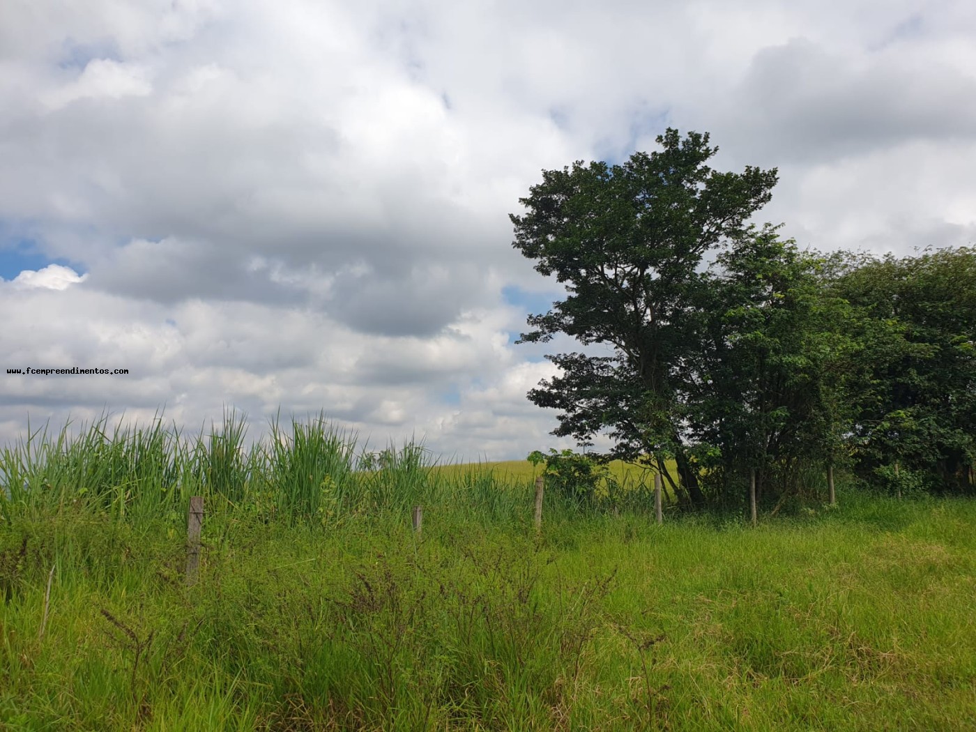 Terreno, 2 hectares - Foto 18