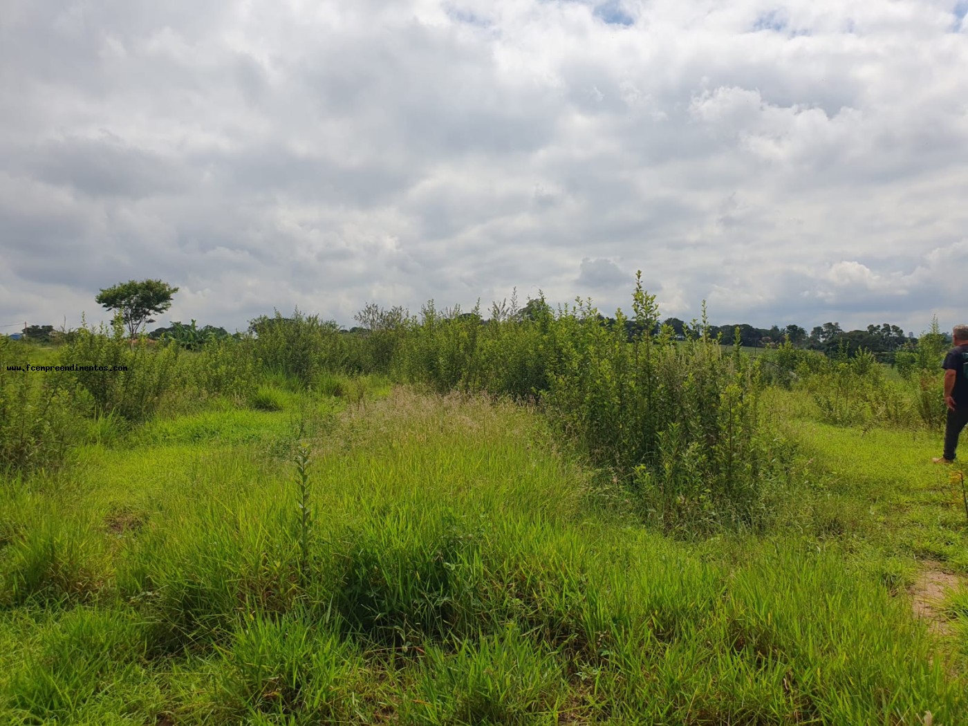 Terreno, 2 hectares - Foto 21