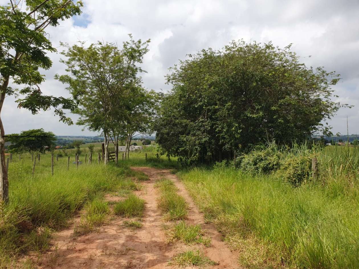 Terreno, 2 hectares - Foto 27