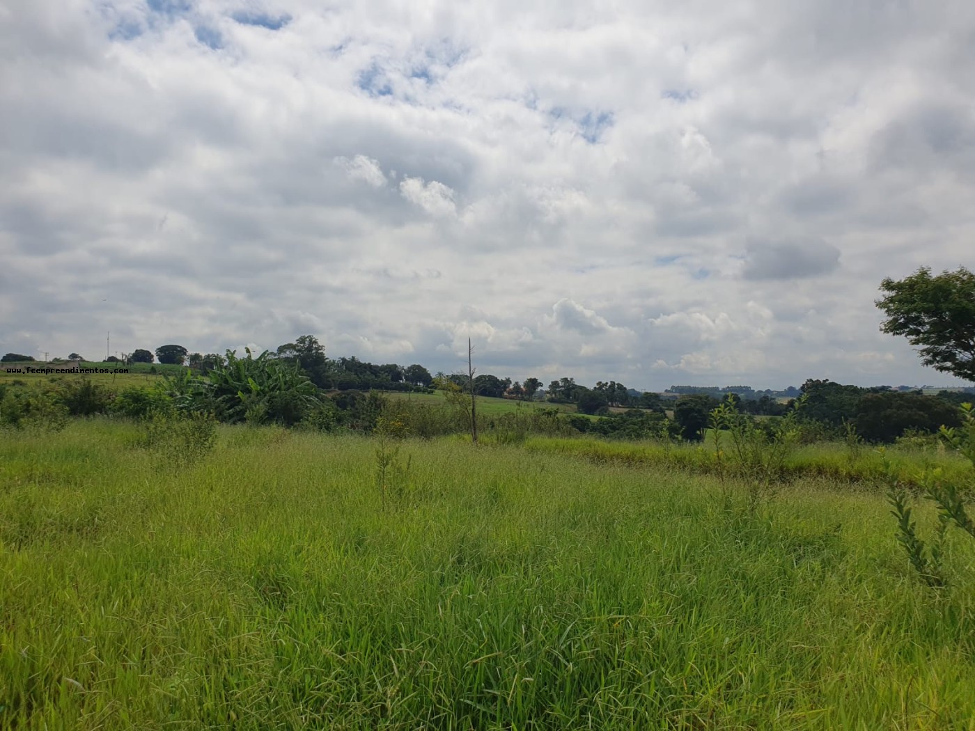 Terreno, 2 hectares - Foto 29