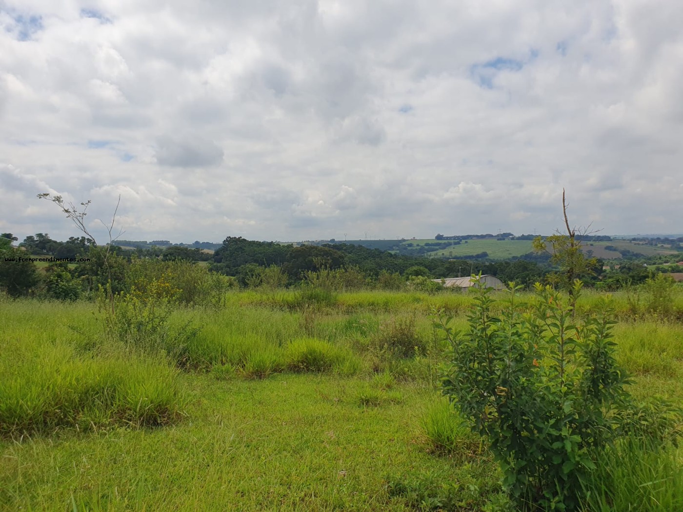 Terreno, 2 hectares - Foto 32