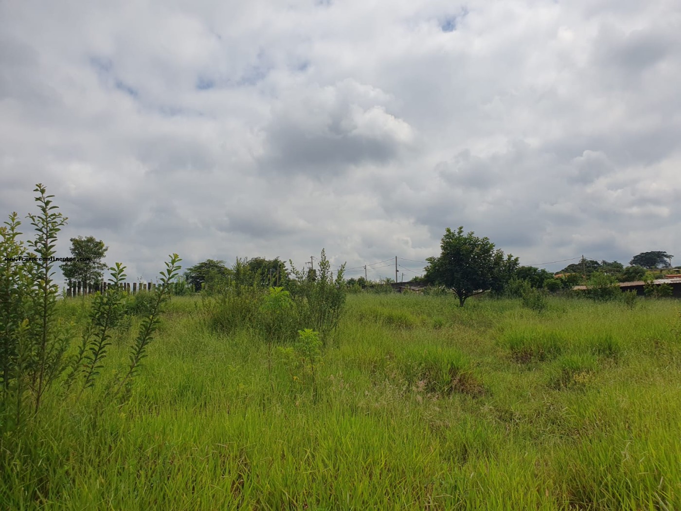 Terreno, 2 hectares - Foto 30