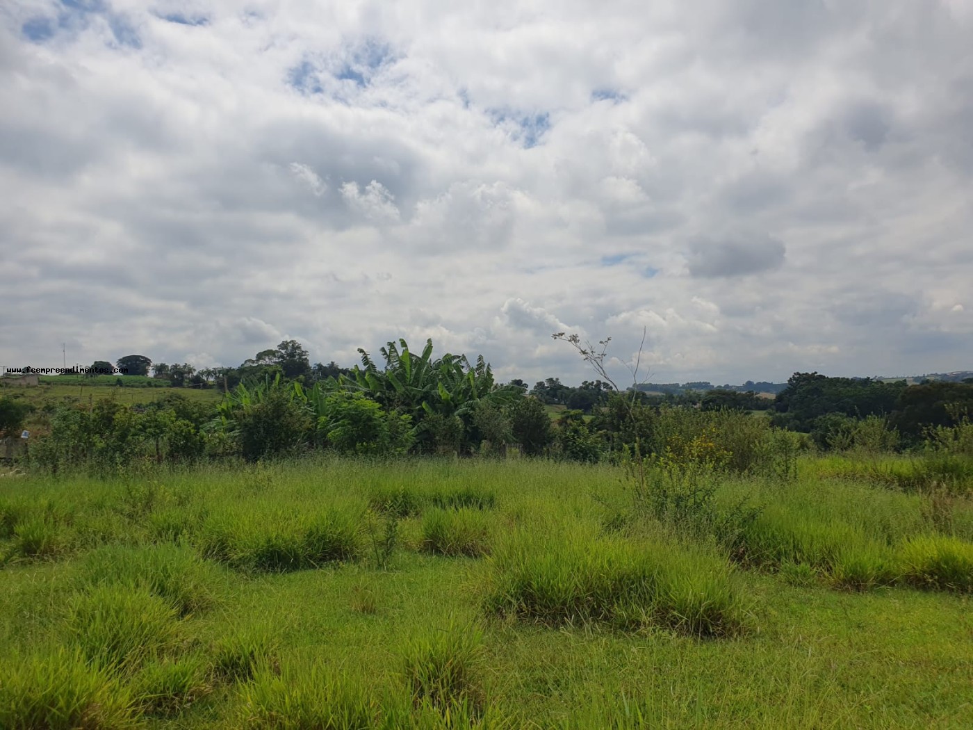 Terreno, 2 hectares - Foto 31