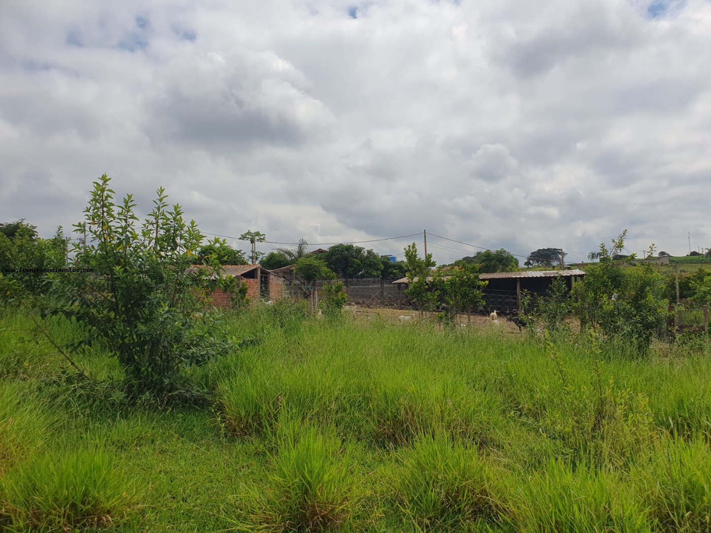 Terreno, 2 hectares - Foto 33