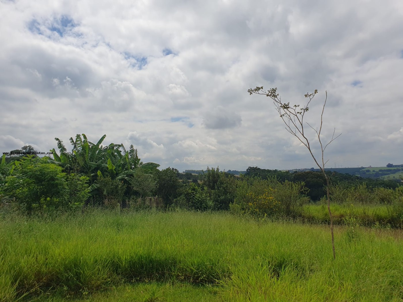 Terreno, 2 hectares - Foto 35