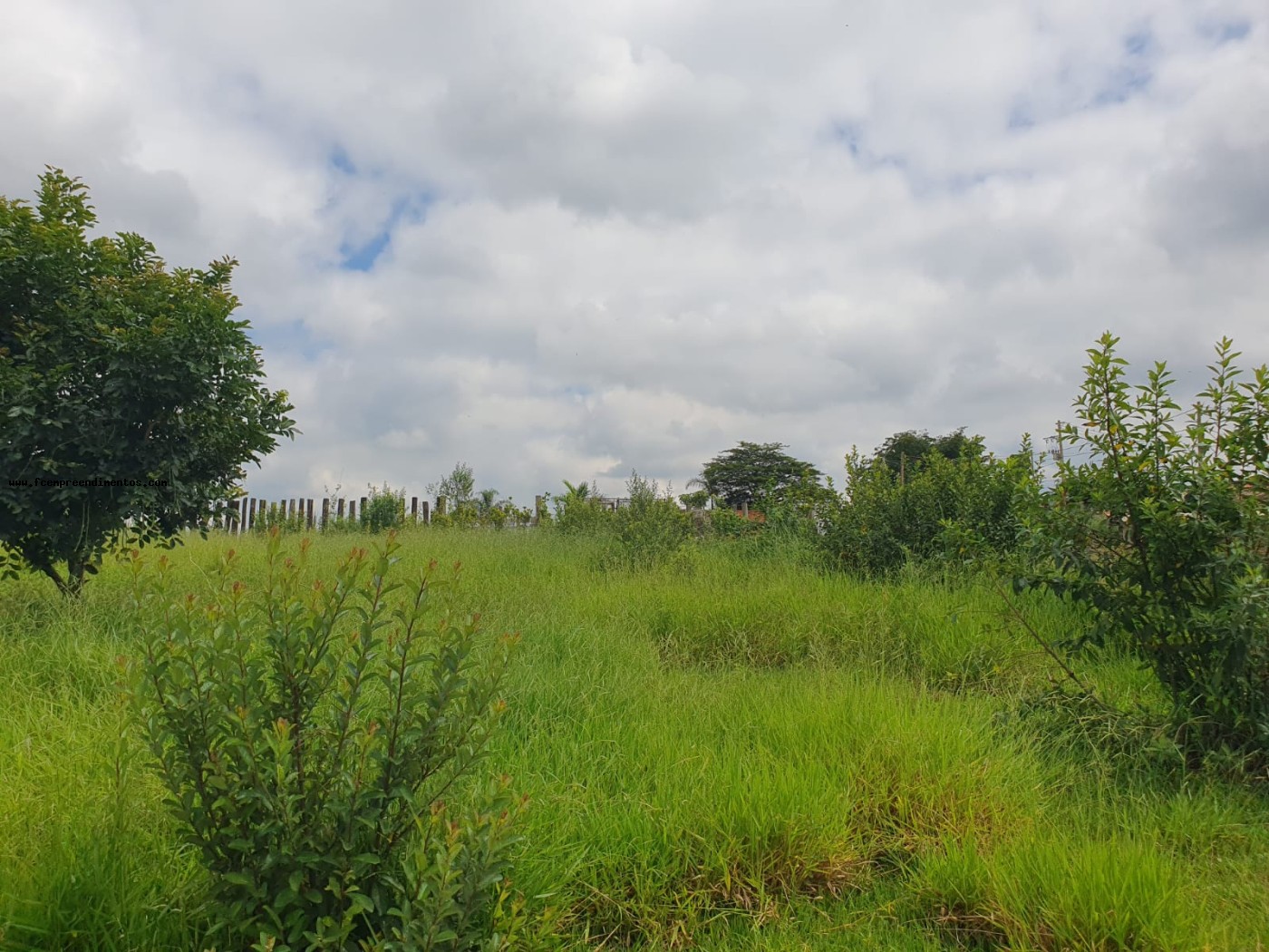 Terreno, 2 hectares - Foto 34
