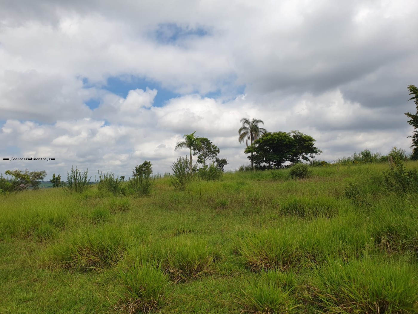 Terreno, 2 hectares - Foto 36