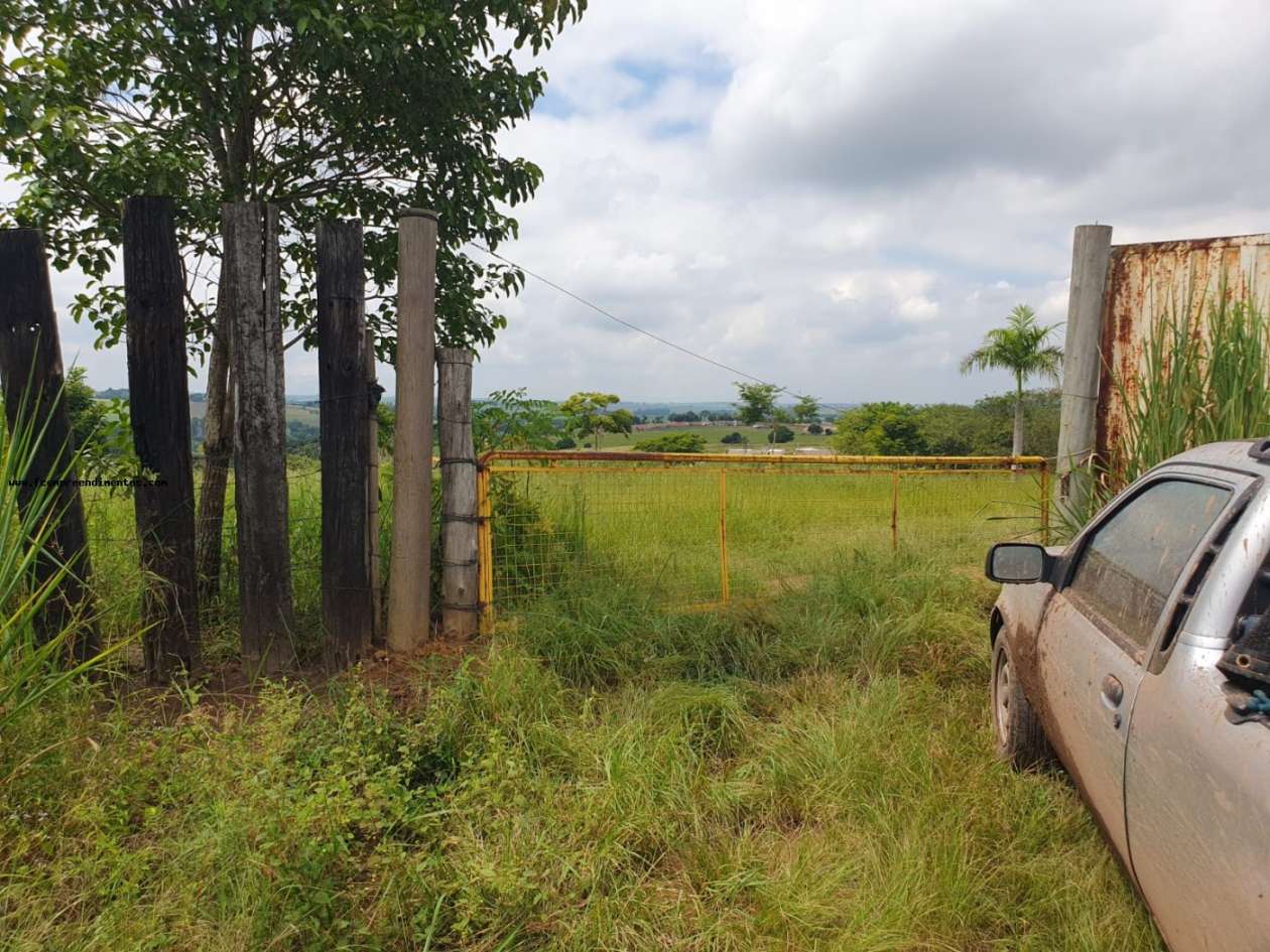 Terreno, 2 hectares - Foto 1