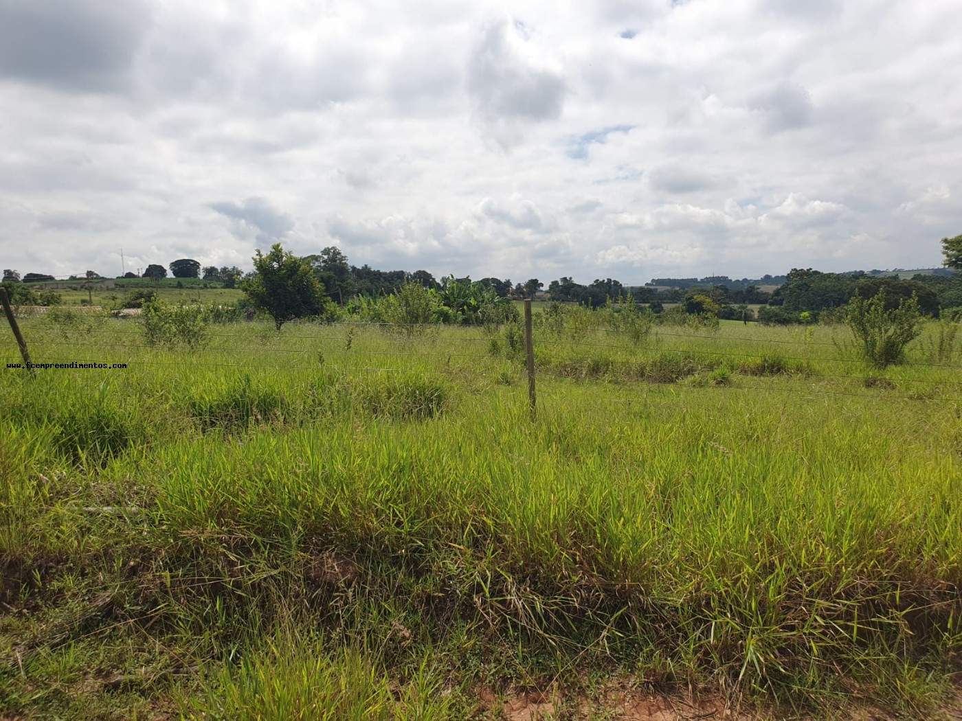Terreno, 2 hectares - Foto 38