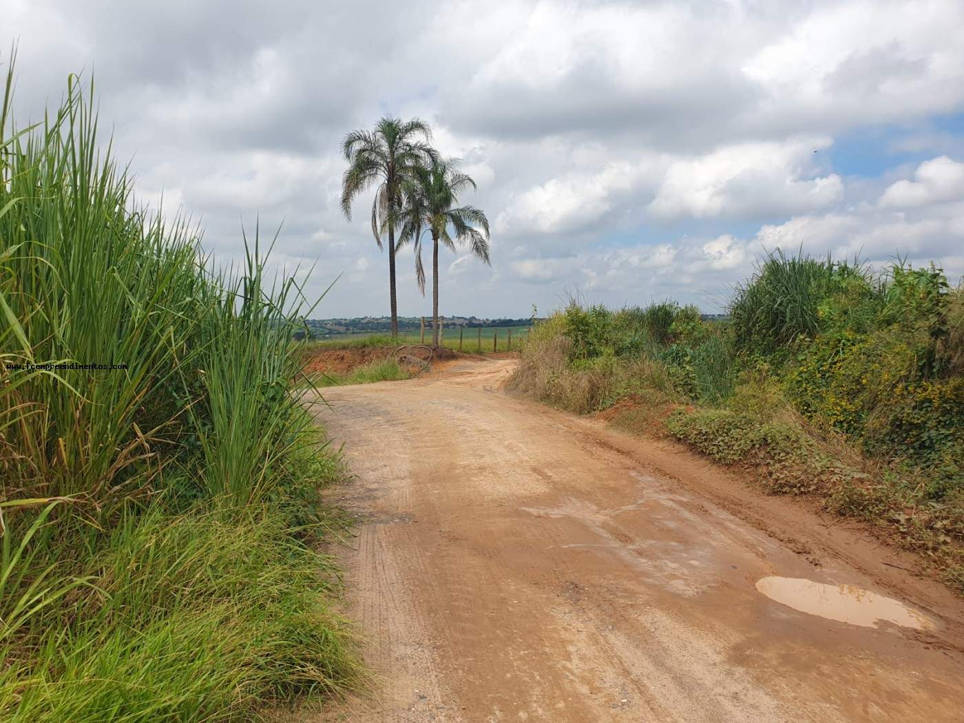 Terreno, 2 hectares - Foto 42