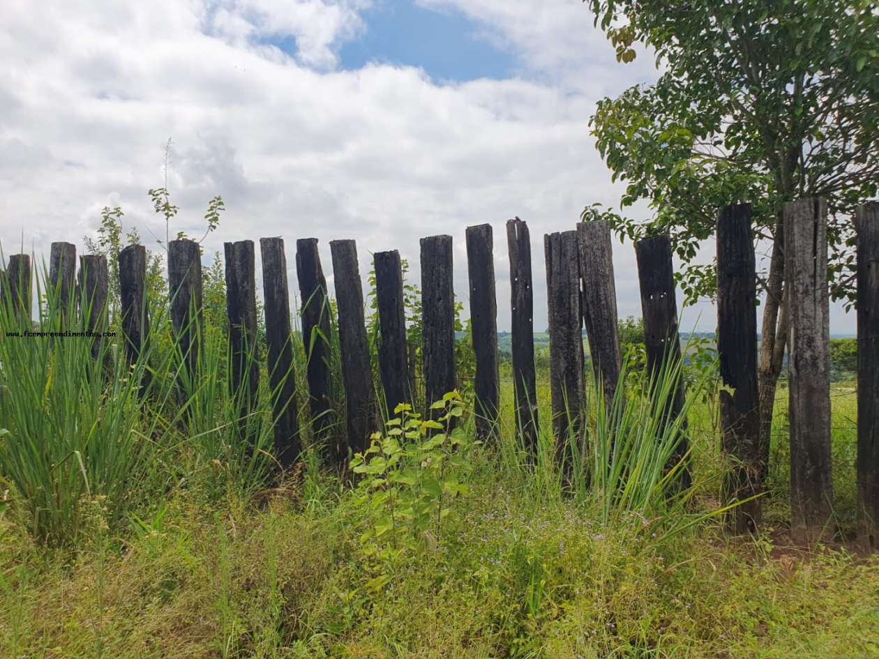 Terreno, 2 hectares - Foto 40