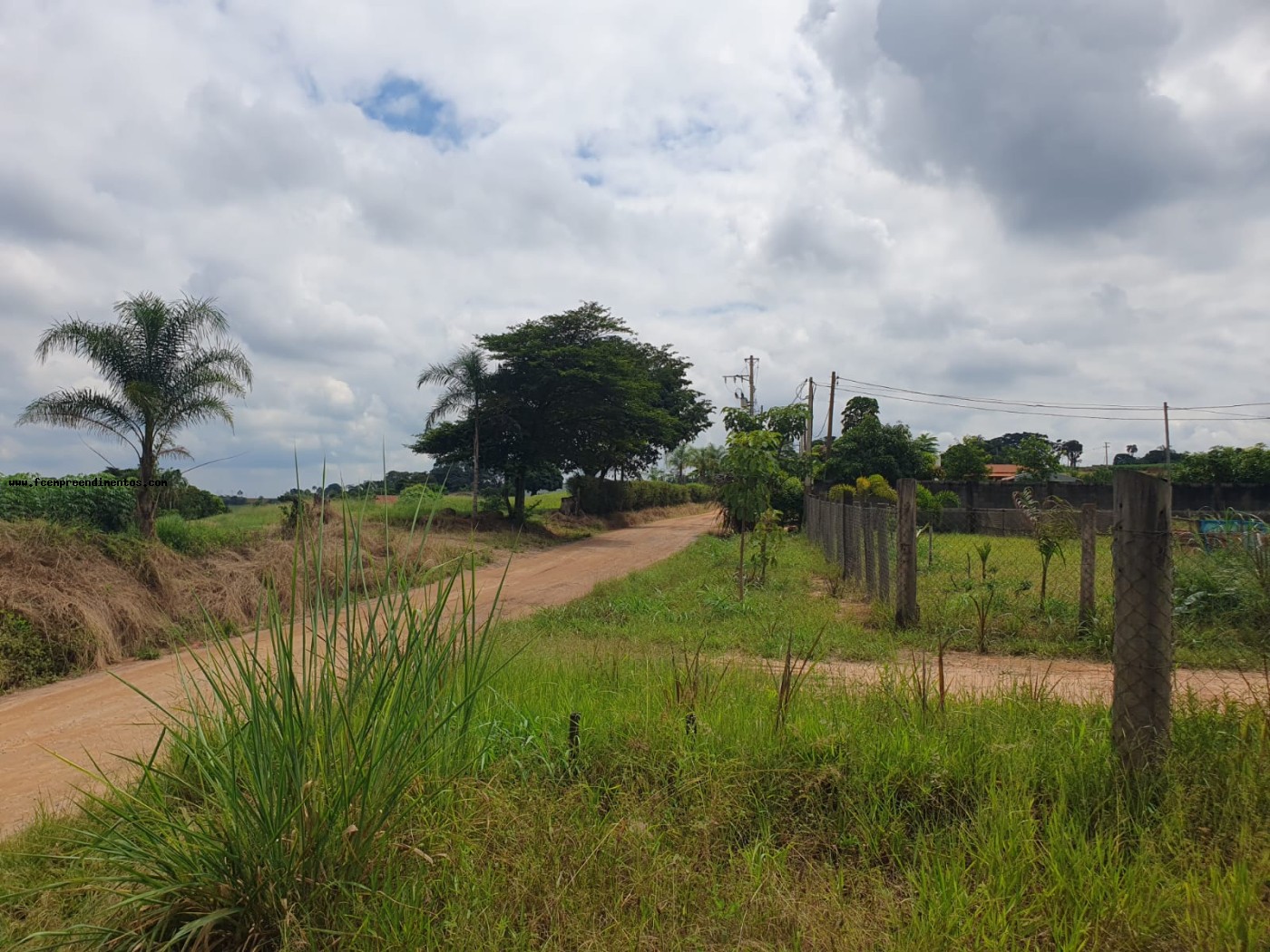Terreno, 2 hectares - Foto 41
