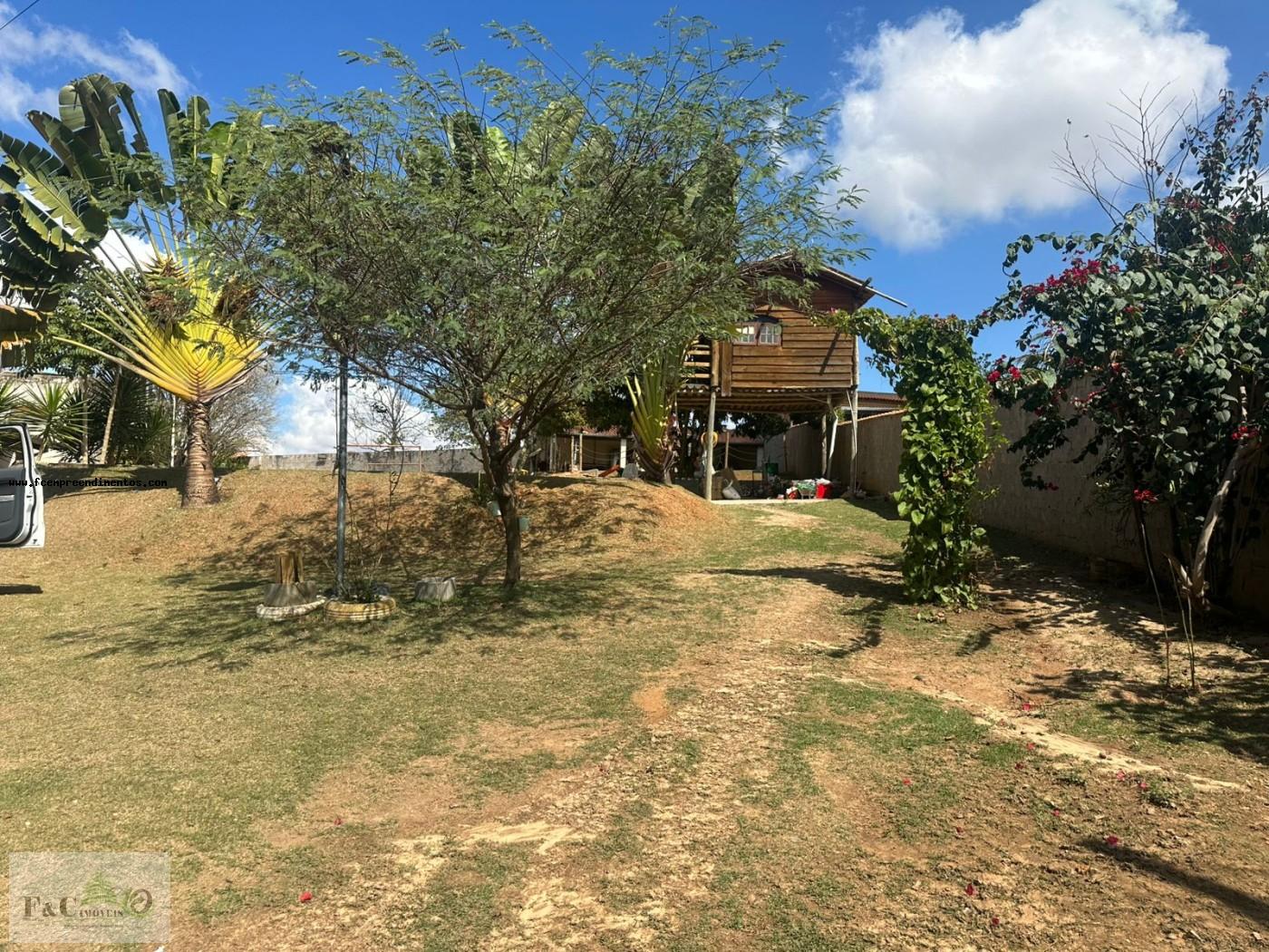 Fazenda, 2000 m² - Foto 12