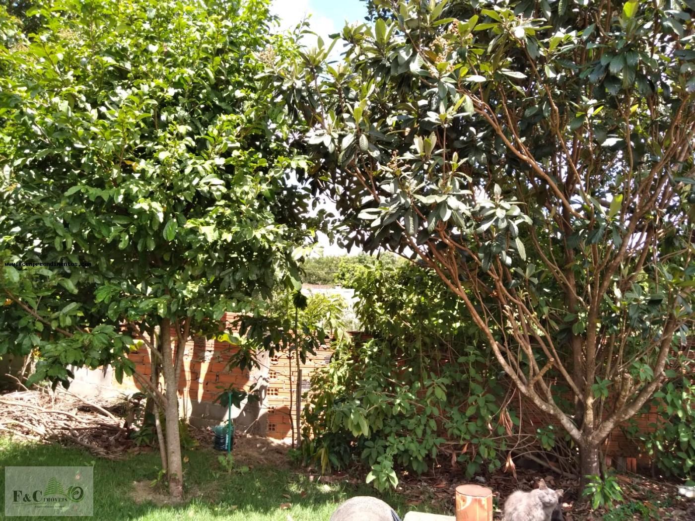 Fazenda, 650 m² - Foto 20