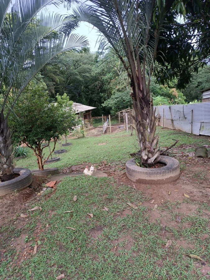 Fazenda, 3950 m² - Foto 22