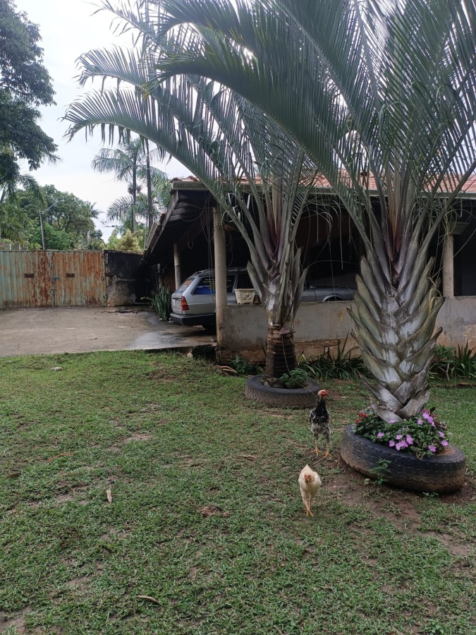 Fazenda, 3950 m² - Foto 26