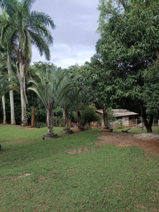Fazenda, 3950 m² - Foto 1