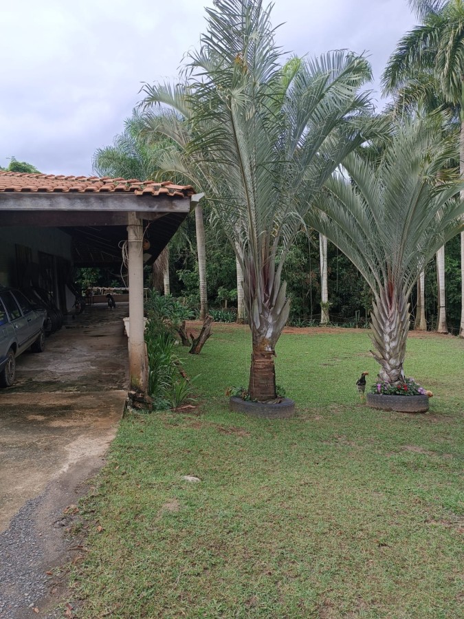 Fazenda, 3950 m² - Foto 27