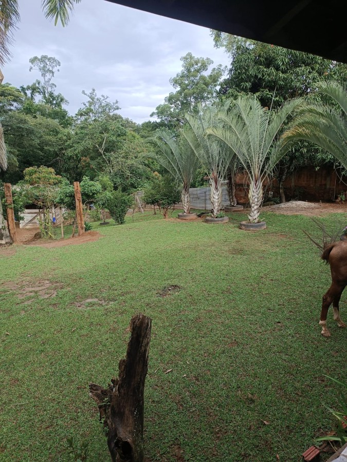 Fazenda, 3950 m² - Foto 34