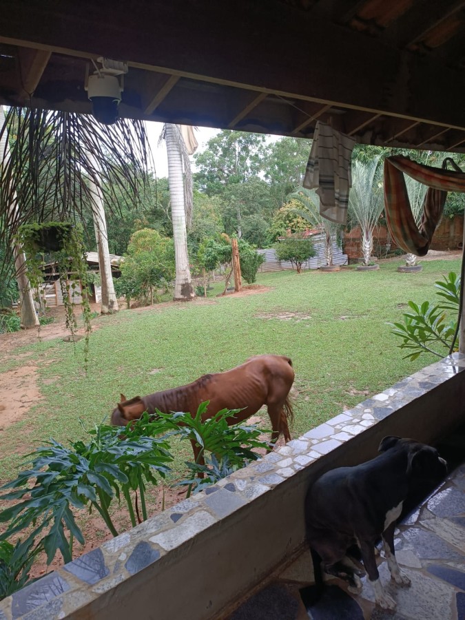 Fazenda, 3950 m² - Foto 35