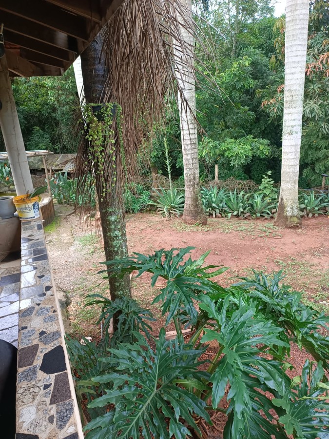 Fazenda, 3950 m² - Foto 38