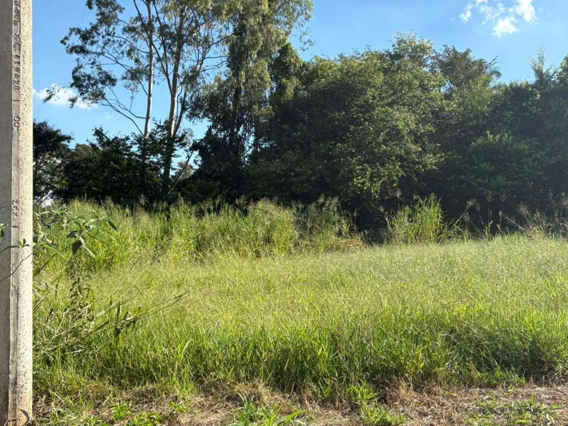 Terreno, 500 m² - Foto 5