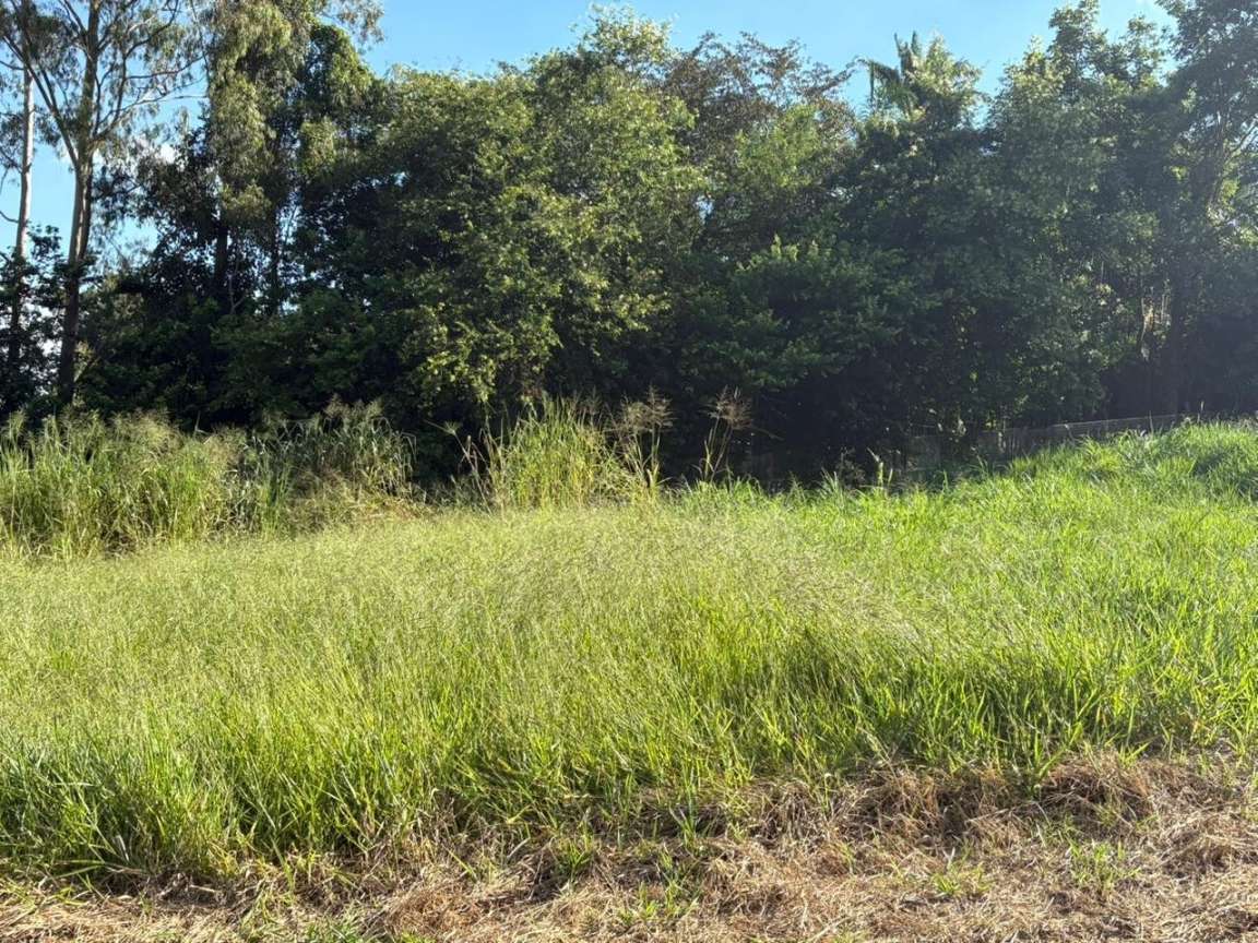 Terreno, 500 m² - Foto 4