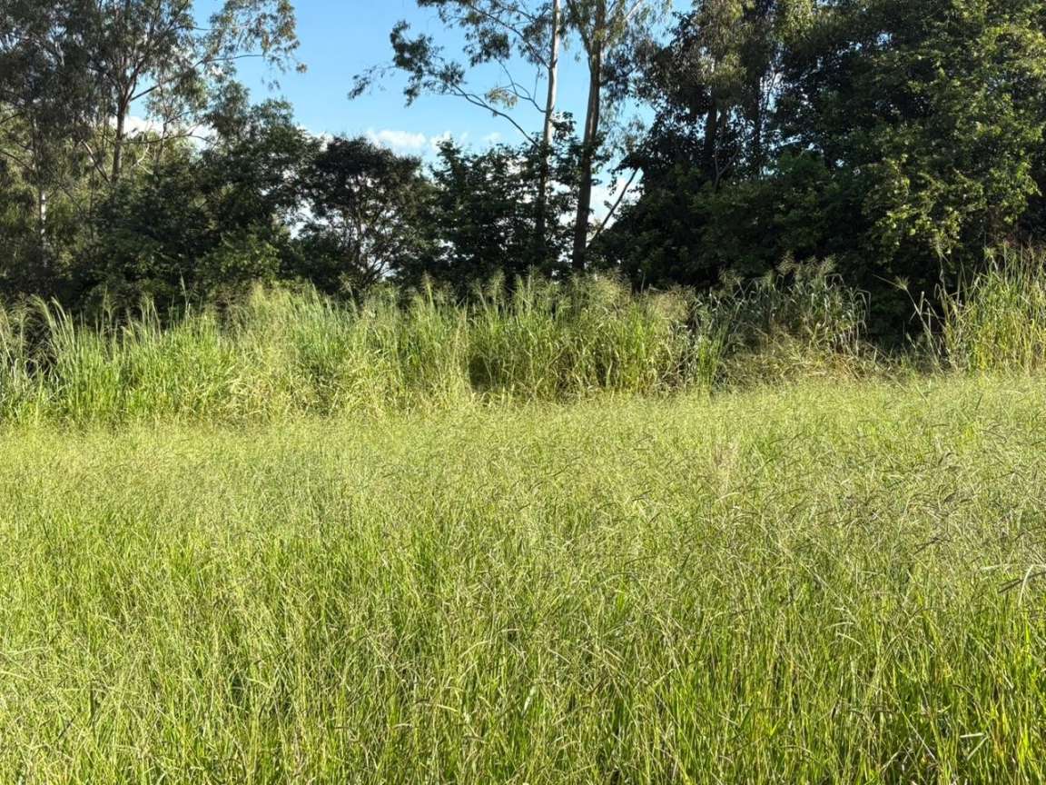 Terreno, 500 m² - Foto 3
