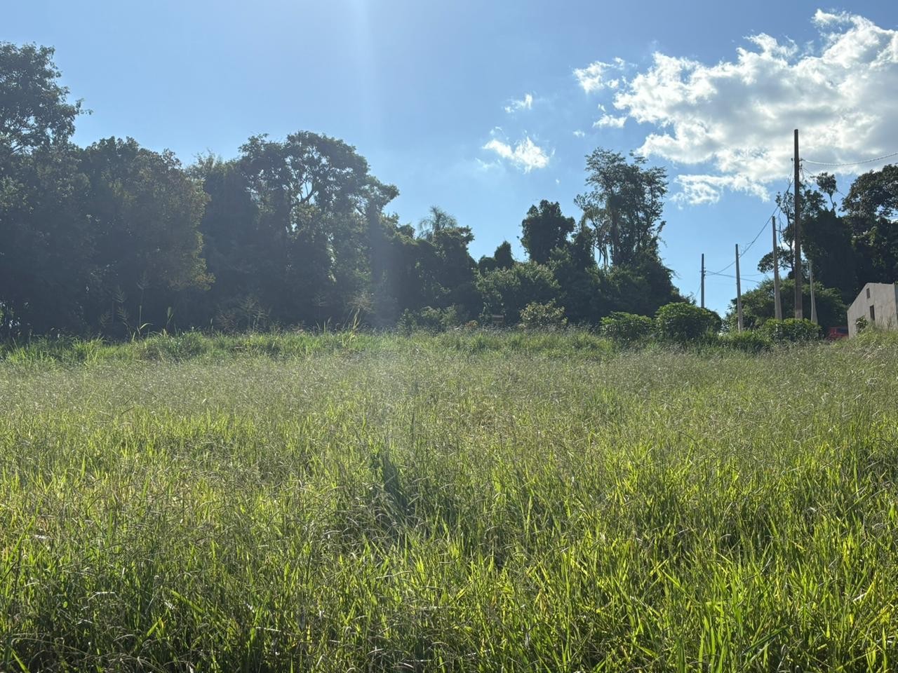 Terreno, 500 m² - Foto 9