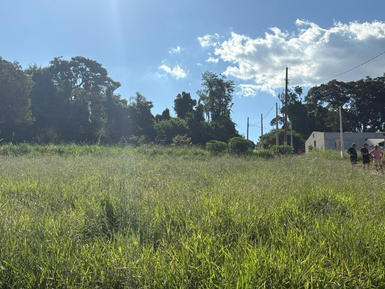 Terreno, 500 m² - Foto 8