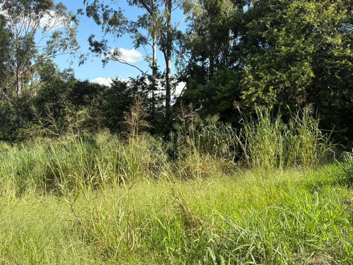 Terreno, 500 m² - Foto 12